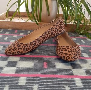 Pointed-toe Leopard Print Flats - Size 10W